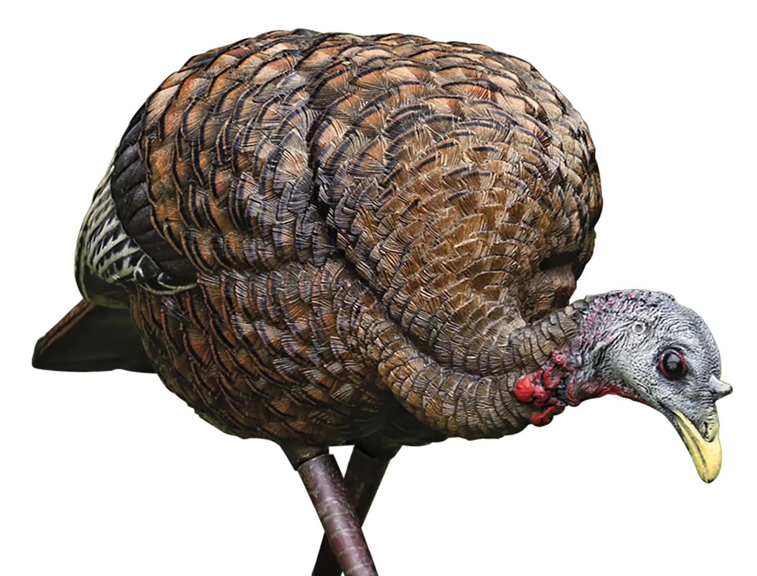 Avian X AVXAVX8007 LCD Feeder Hen Turkey Species Multi Color Dura-Rubber