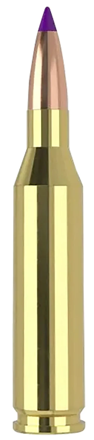 Nosler 40041 243Win 70gr Ballistic Tip Varmint 20 Per Box/10 Case