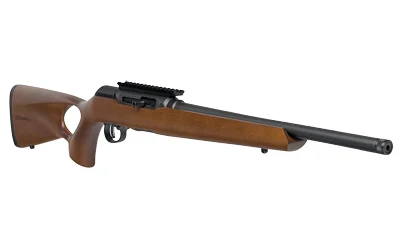 SAV A22 TIMBER 22LR 18" TB 10RD WOOD - Image 3